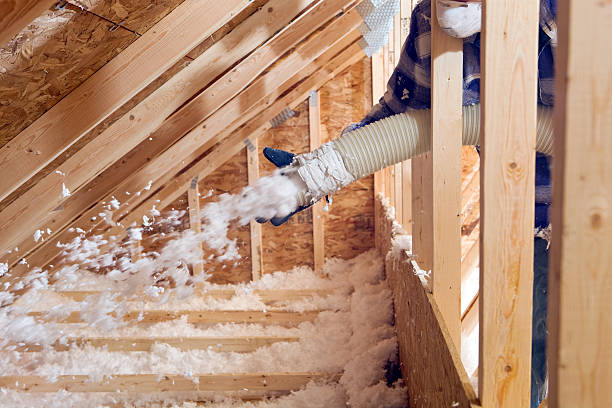 Best Garage Insulation in Shreveport, LA